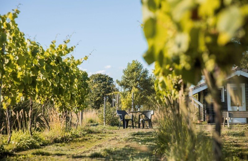 157a5540 kopie klein